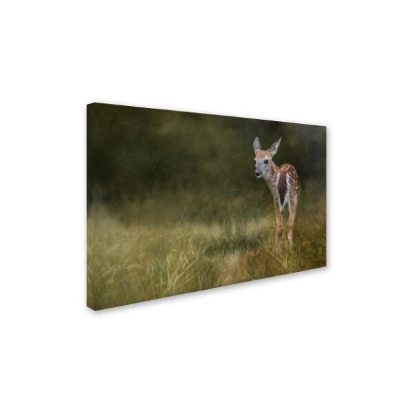 Jai Johnson 'Tiny Fawn In The Meadow' Canvas Art,16x24